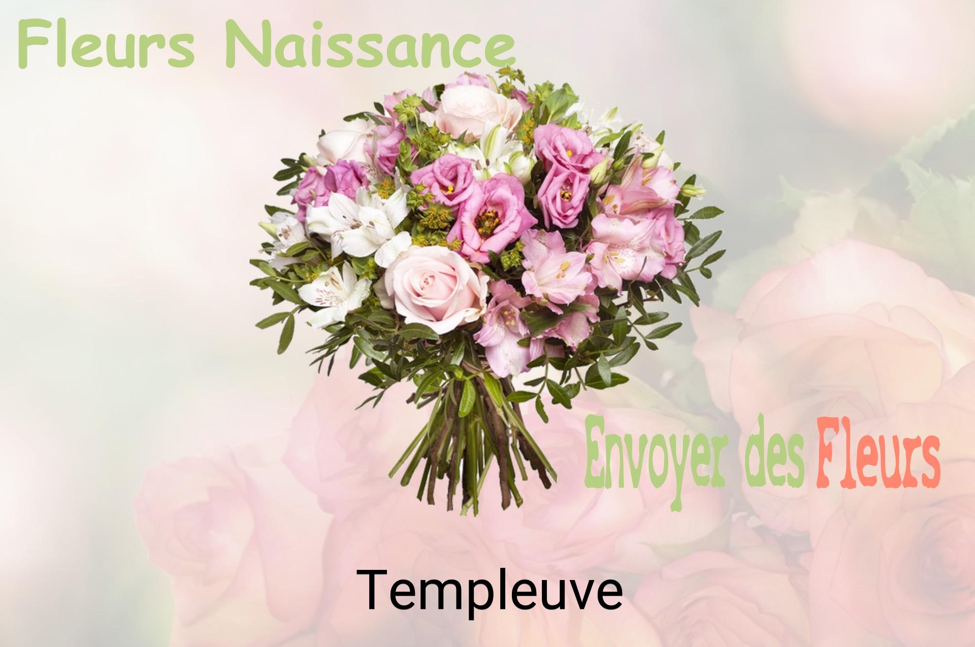 Bouquet de fleurs de naissance livré à Templeuve